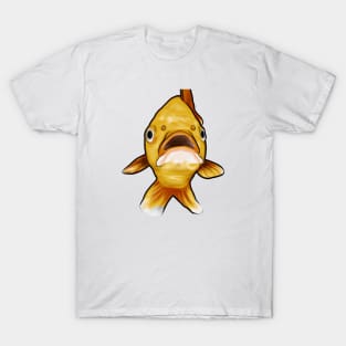 Cute Carp Drawing T-Shirt